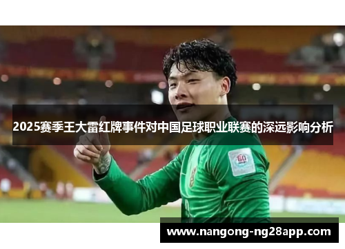 2025赛季王大雷红牌事件对中国足球职业联赛的深远影响分析