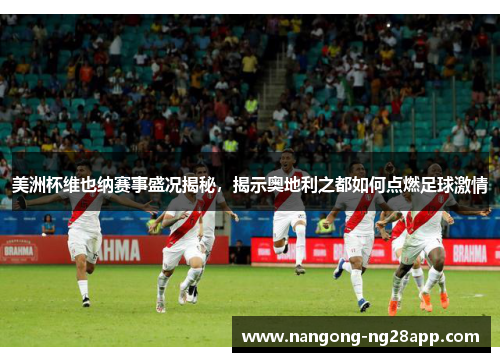 美洲杯维也纳赛事盛况揭秘，揭示奥地利之都如何点燃足球激情