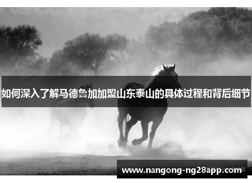 如何深入了解马德鲁加加盟山东泰山的具体过程和背后细节