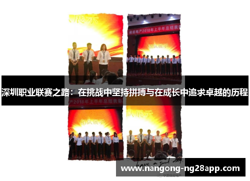 深圳职业联赛之路：在挑战中坚持拼搏与在成长中追求卓越的历程