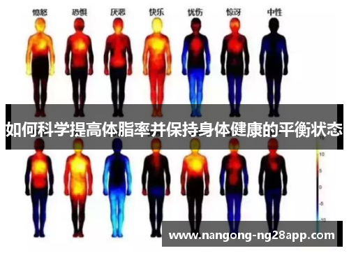 如何科学提高体脂率并保持身体健康的平衡状态