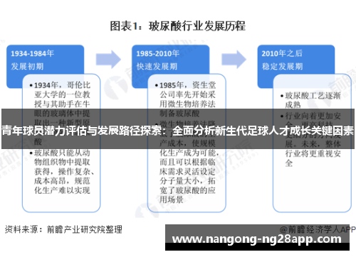 青年球员潜力评估与发展路径探索：全面分析新生代足球人才成长关键因素